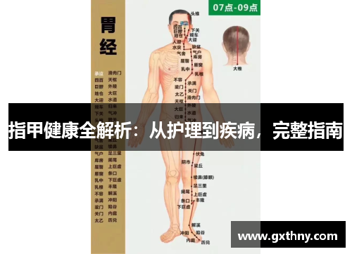 指甲健康全解析：从护理到疾病，完整指南