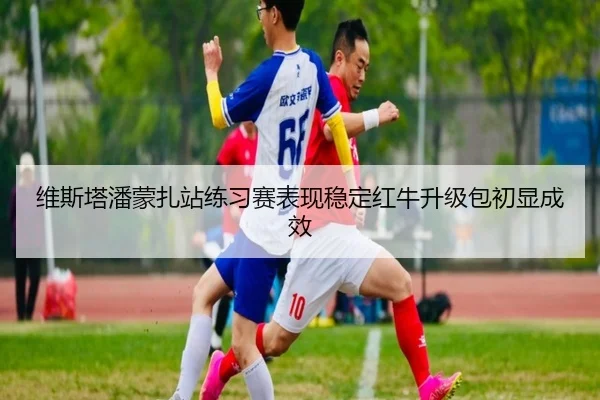 维斯塔潘蒙扎站练习赛表现稳定红牛升级包初显成效