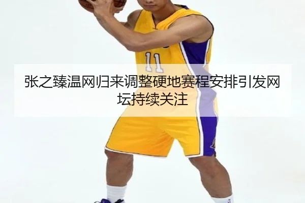 张之臻温网归来调整硬地赛程安排引发网坛持续关注