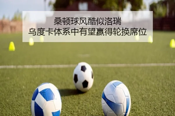 桑顿球风酷似洛瑞 乌度卡体系中有望赢得轮换席位
